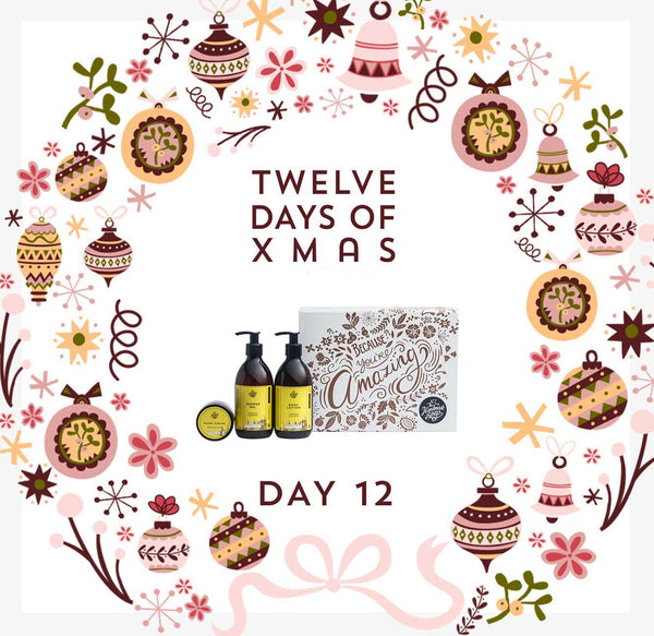12 Days of Christmas - DAY 12