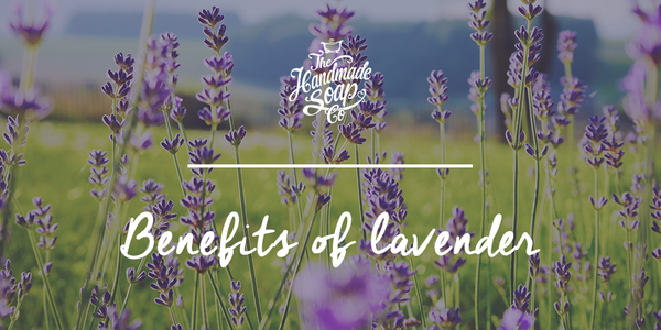 The benefits of lavender