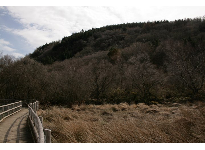 A walk in the Garden of Ireland